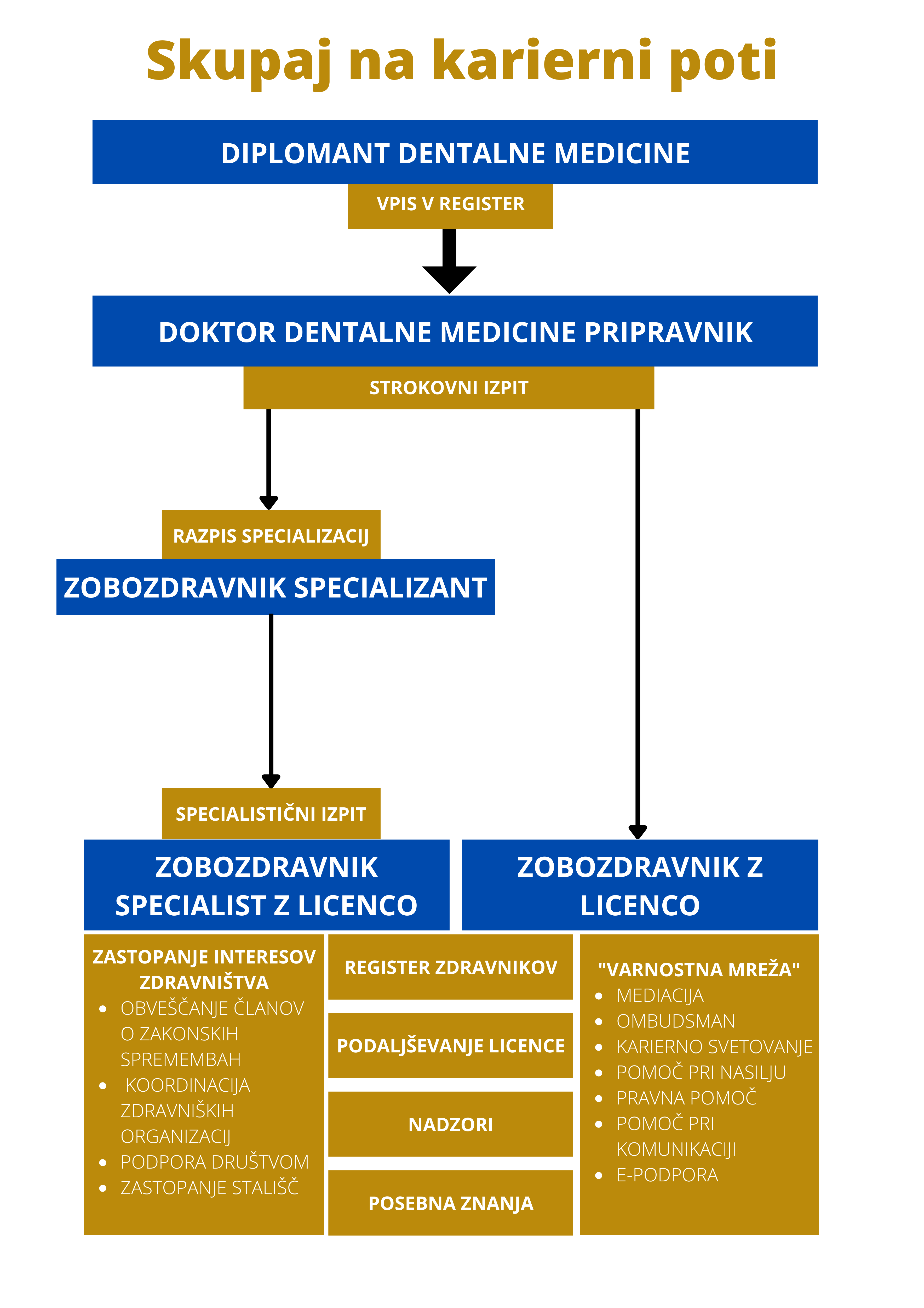 Karierna pot zobozdravnica/zobozdravnik